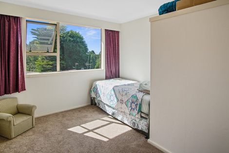 Photo of property in 13 Norrie Place, Putaruru, 3411