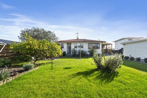 Photo of property in 448 Tremaine Avenue, Takaro, Palmerston North, 4410