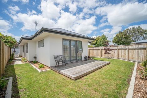 Photo of property in 33b Windsor Street, Terrace End, Palmerston North, 4410
