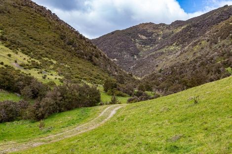 Photo of property in 843 Mangatarere Valley Road, West Taratahi, Carterton, 5791