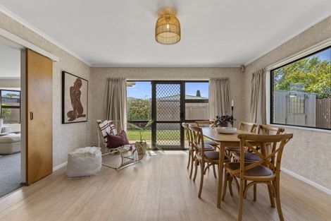 Photo of property in 19a College Street, Awapuni, Palmerston North, 4412