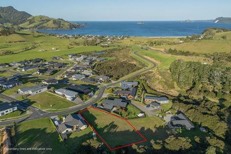 Photo of property in 53 Discovery Drive, Wharekaho, Whitianga, 3510