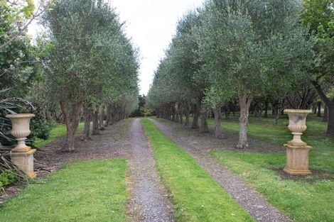 Photo of property in 466 Jeffersons Line, Marton, 4788