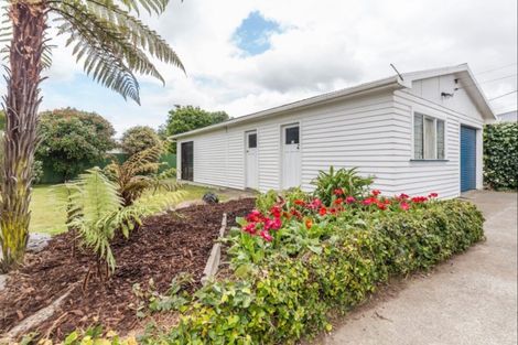 Photo of property in 23 Tasman Street, Levin, 5510