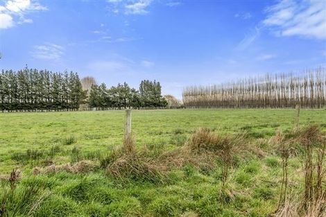 Photo of property in 133 Easterbrook Road, Fernside, Kaiapoi, 7691