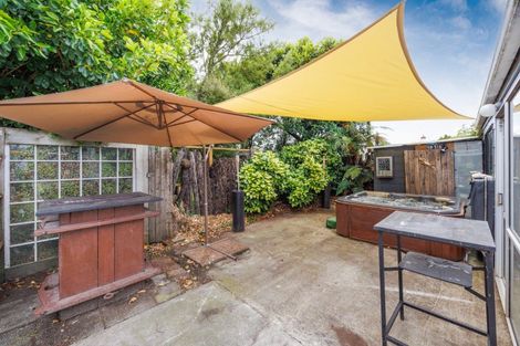 Photo of property in 113 Shamrock Street, Takaro, Palmerston North, 4412