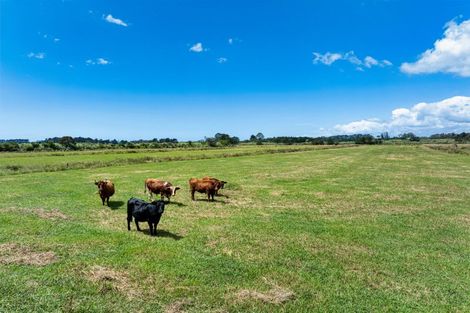 Photo of property in 36 Sedgemoor Lane, Tahawai, Katikati, 3178