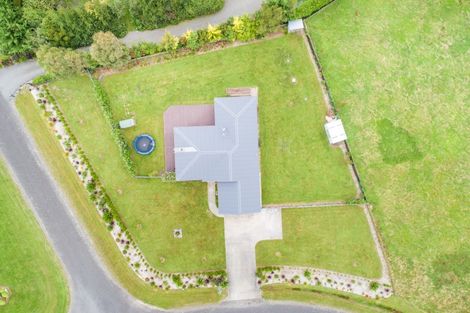 Photo of property in 12 Wapiti Avenue, Feilding, 4775