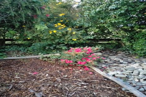 Photo of property in 47 Derby Street, Hampden, 9410