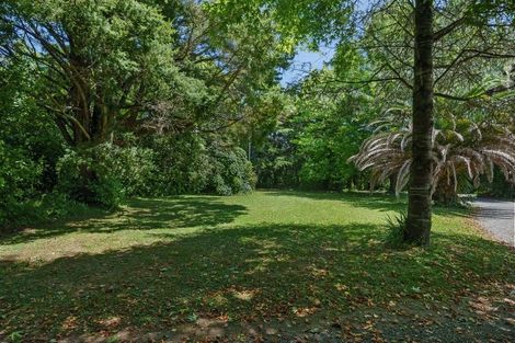 Photo of property in 75 Macarthur Street, Levin, 5510