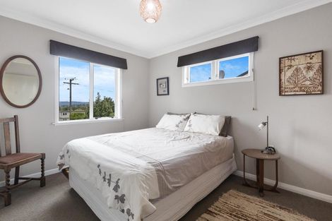 Photo of property in 14 Terrace Street, Putaruru, 3411