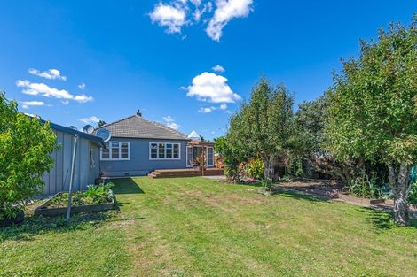 Photo of property in 137 Rangiora Avenue, Roslyn, Palmerston North, 4414