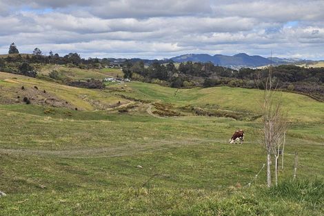 Photo of property in 113c Marua Road, Hikurangi, 0181