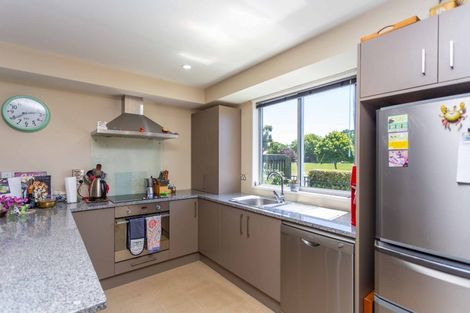 Photo of property in 6 Albion Lane, Hillmorton, Christchurch, 8024