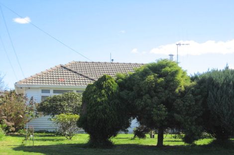 Photo of property in 17 George Street, Levin, 5510