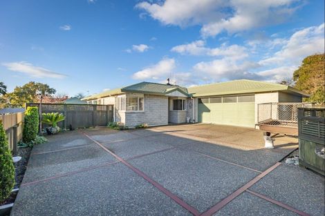 Photo of property in 68a Mako Mako Road, Levin, 5510