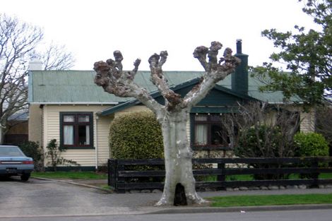 Photo of property in 159 Renall Street, Masterton, 5810