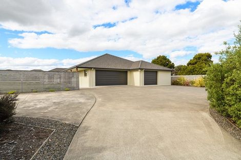 Photo of property in 100 Mount Taylor Drive, Feilding, 4775
