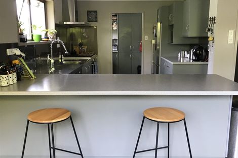 Photo of property in 50 Ross Street, Pirongia, 3802