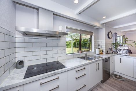 Photo of property in 351 Ross Street, Pirongia, 3802