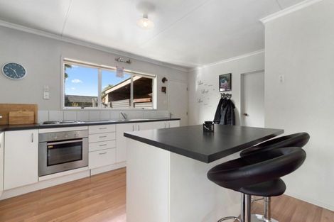 Photo of property in 4 Ellis Street, Alexandra, 9320