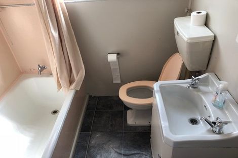 Photo of property in 225 Grove Road, Mayfair, Hastings, 4122