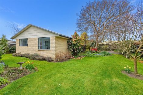 Photo of property in 51b Lagan Street, Belfast, Christchurch, 8051