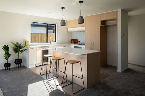 Photo of property in 65 Silverstream Boulevard, Kaiapoi, 7630