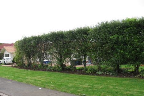 Photo of property in 63 Rame Road, Greenhithe, Auckland, 0632