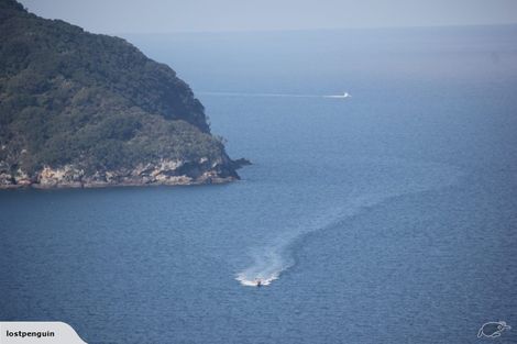 Photo of property in 14 Pacific Drive, Tairua, 3508