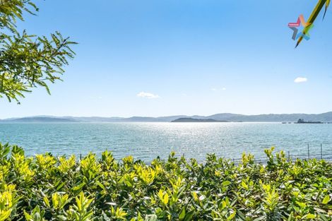 Photo of property in 307a Marine Dr York Bay, York Bay, Lower Hutt, 5013