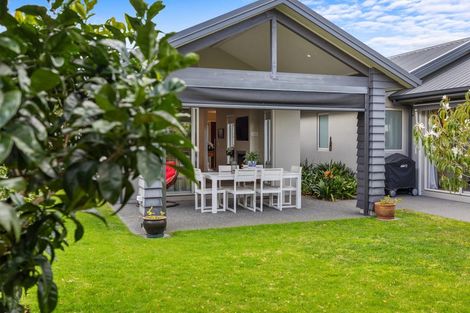 Photo of property in 87 Carmichael Road, Bethlehem, Tauranga, 3110