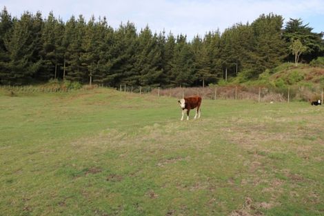 Photo of property in 10 Maury Place, Foxton, 4814