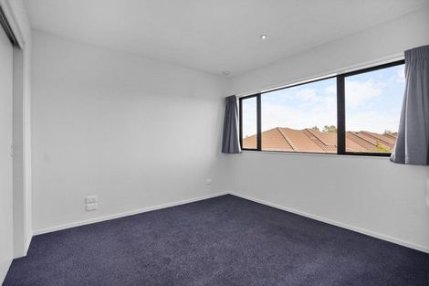 Photo of property in 1/195 Massey Street, Frankton, Hamilton, 3204