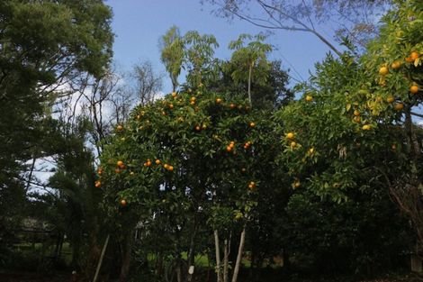 Photo of property in 5 Hanover Street, Wellsford, 0900