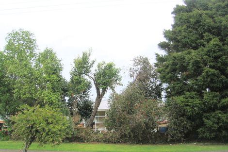 Photo of property in 9 Henton Street, Te Aroha, 3320