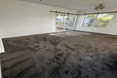 Photo of property in 53 Bassett Road, Johnsonville, Wellington, 6037