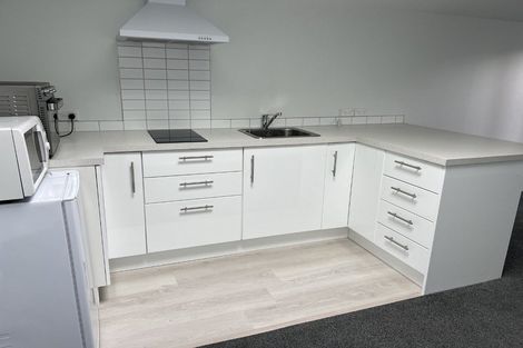 Photo of property in 58 Lampard Street, Methven, 7730