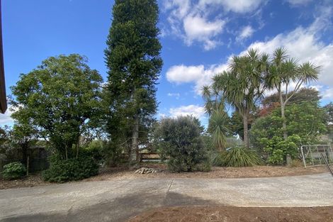 Photo of property in 664a Onewhero-tuakau Bridge Road, Onewhero, Tuakau, 2697