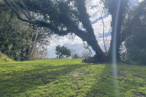 Photo of property in 102 Tirau Street, Putaruru, 3411