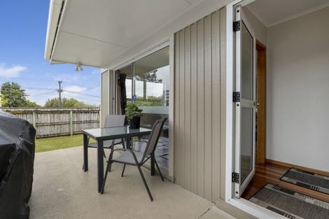 Photo of property in 254 Huatoki Street, Upper Vogeltown, New Plymouth, 4310