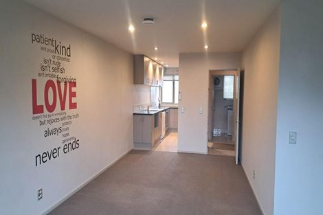 Photo of property in 382c Selwyn Street, Addington, Christchurch, 8024