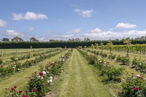 Photo of property in 22 Laings Road, Tinwald, Ashburton, 7775