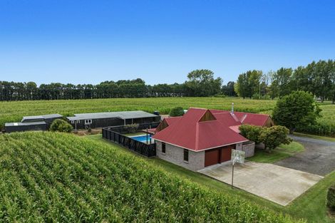 Photo of property in 164 Otakiri Road, Edgecumbe, Whakatane, 3192