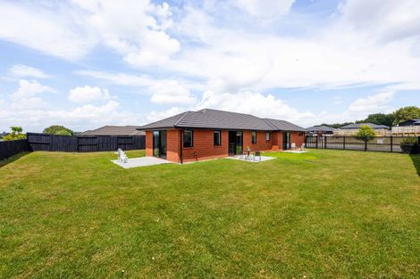 Photo of property in 3 Rawiri Street, Morrinsville, 3300