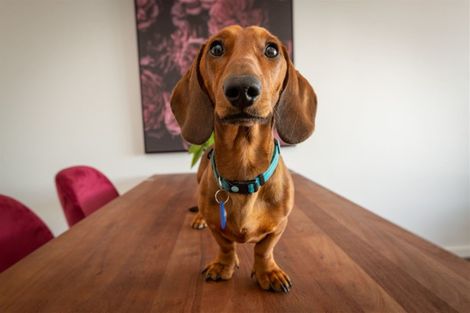 Photo of property in The Foundry, 408/36b Welles Street, Christchurch Central, Christchurch, 8011