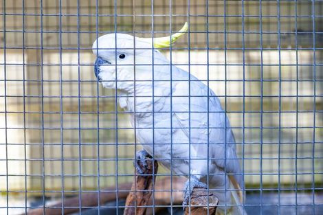 Photo of property in 365 Mill Creek Road, Kaimarama, Whitianga, 3591