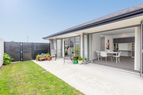 Photo of property in 23 Tuaia Street, Pyes Pa, Tauranga, 3112