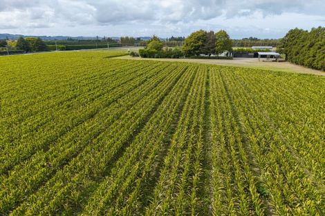 Photo of property in 121 Bell Road, Matawhero, Gisborne, 4071