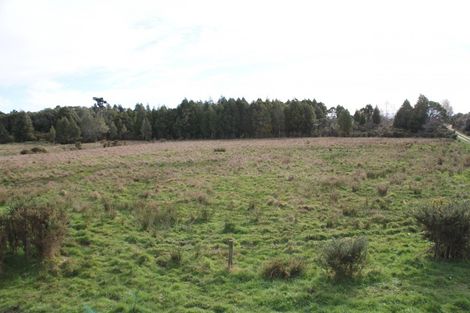 Photo of property in 429 Wilsons Lead Road, Westport, Cape Foulwind, 7892